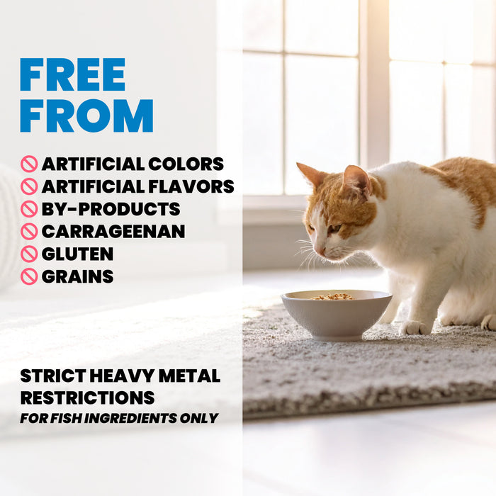 Almo Nature HQS Indoor Cat Food - Chicken Recipe In Gravy 6 x 50g