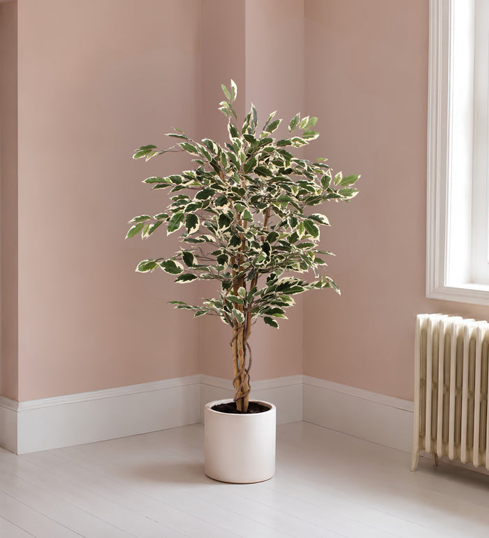 Artificial Ficus Benjamina Twilight