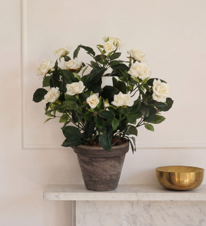 Artificial Rosebush & Grey Pot