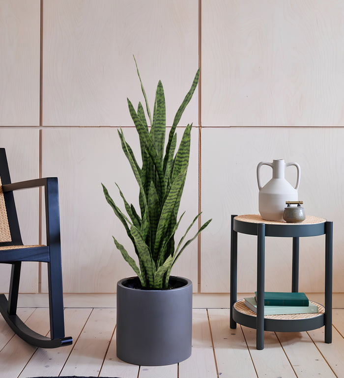 Artificial Snake Plant