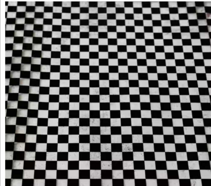 Black Checkerboard Vinyl 1/2yd -- Sallie Tomato