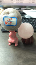 C13-20220304-cassie