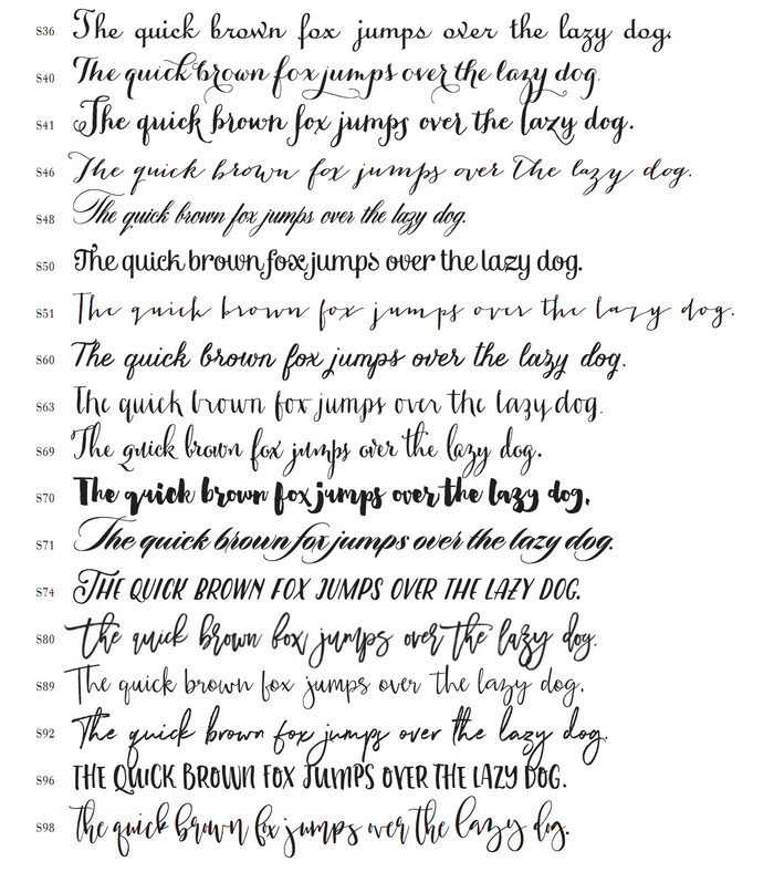Dog Cat Pet Lover Notepad