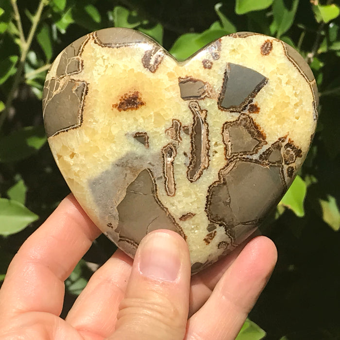 Double Sided Septarian Heart