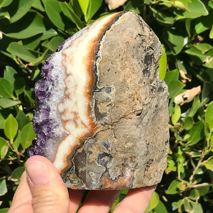Extravagantly Banded Amethyst Freeform