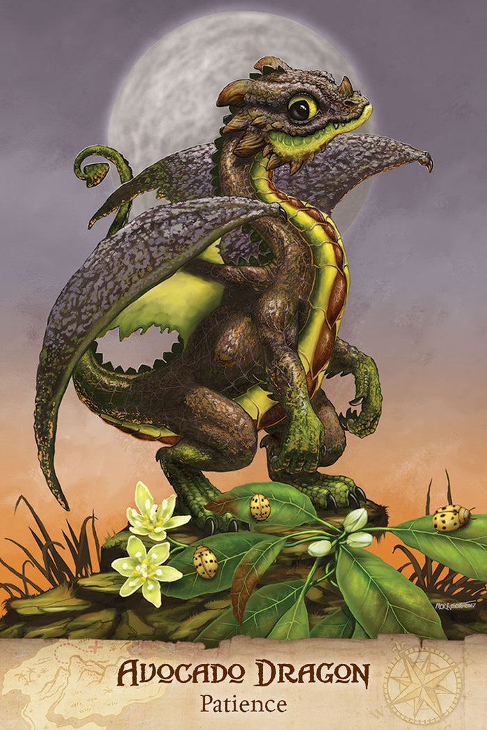 Field Guide To Garden Dragons Deck – view 3
