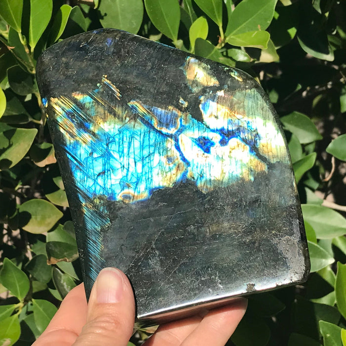Front and Back Flash Labradorite Freeform