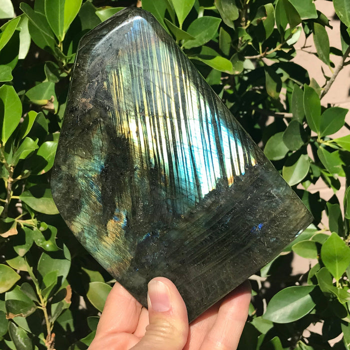 Front and Back Flash Labradorite Freeform