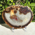 Hues of a Rainbow Agate Slice