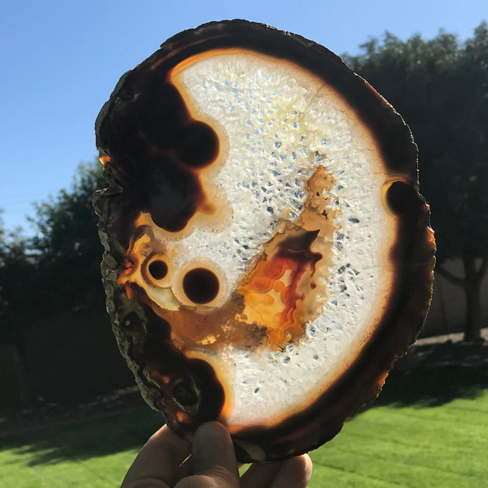 Hues of a Rainbow Agate Slice