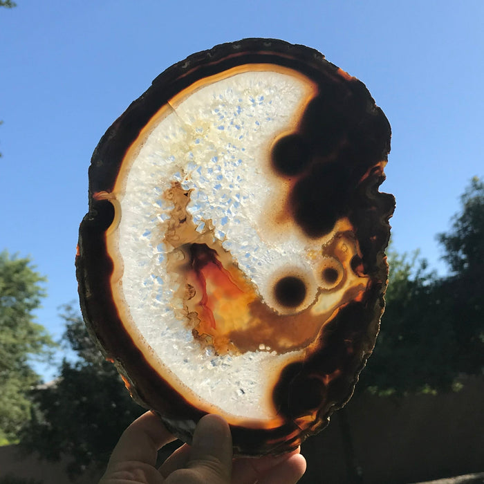 Hues of a Rainbow Agate Slice