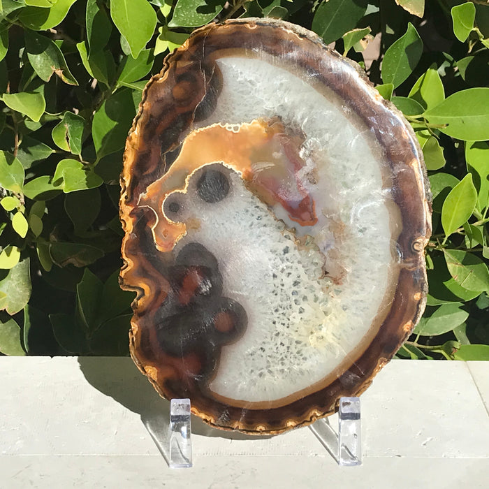 Hues of a Rainbow Agate Slice