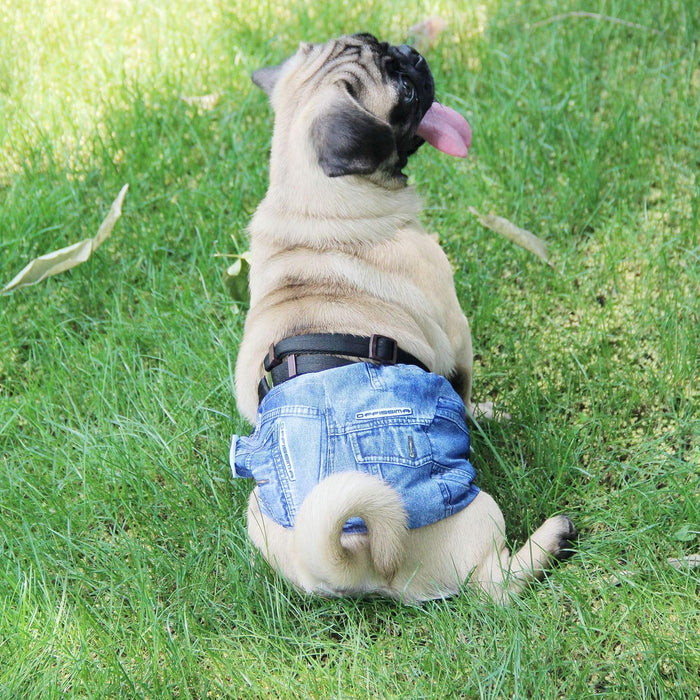 Jeans Washable Male Dog Diapers (Pack of 3) - Washable Male Dog Belly Wrap (X-Small)