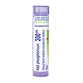 A single tube of Boiron Kali phosphoricum 200ck homeopathic medicine, shown on a plain white background.