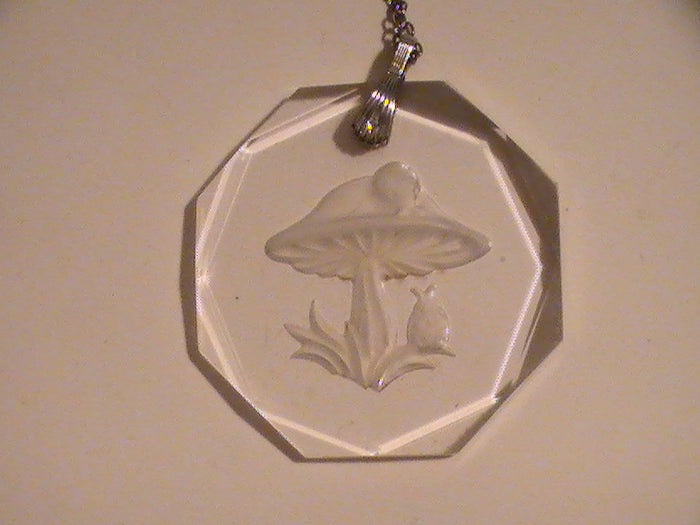 Magic Little Mushroom