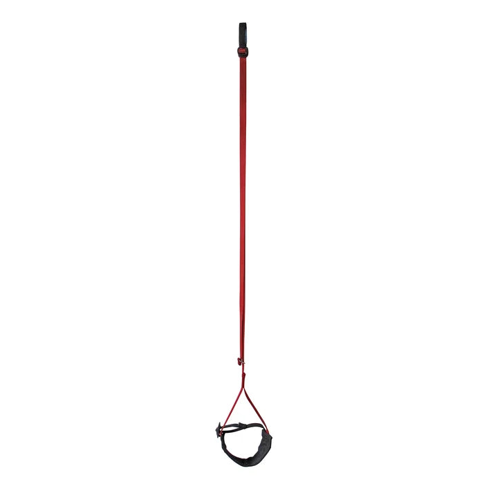 Metolius Easy Aider