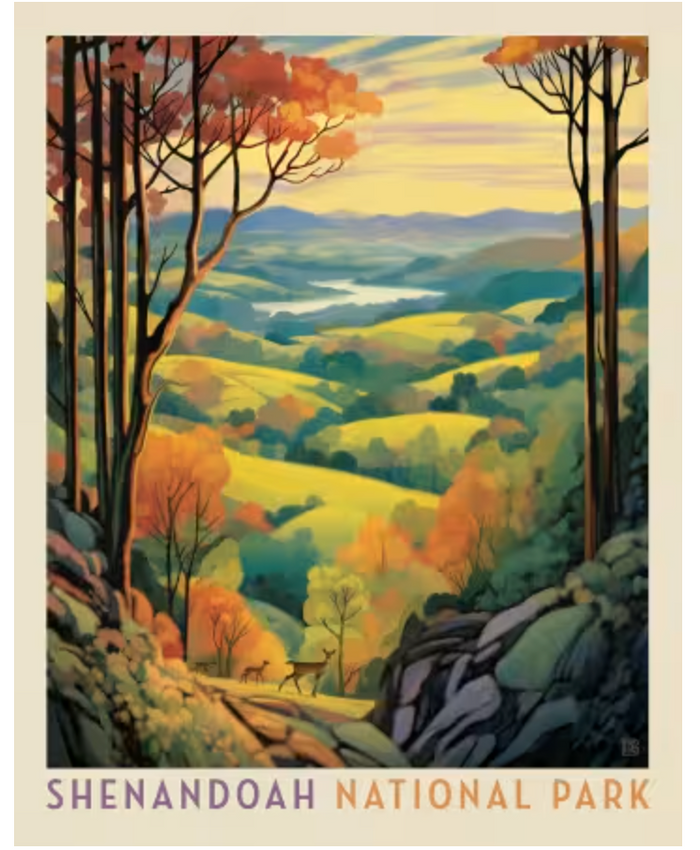 National Parks Shenandoah National Park 36in x 43in Poster Panel  -- Riley Blake