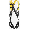 Petzl Newton Harness