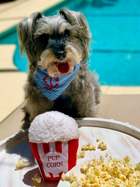 Plush Dog Cat Pet Toy, Pup Corn