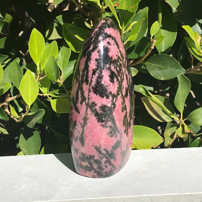 Polished Rhodonite Nodule
