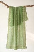 Printed Organza Dupatta in Green